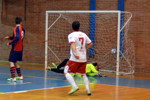 DSC_7649ok picc