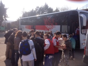 foto 1 (7)