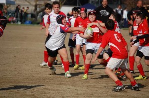 Minirugby Arezzo