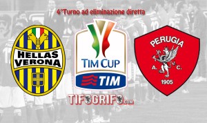 Grafica Verona Perugia TIM cup