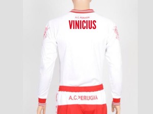 vincius1