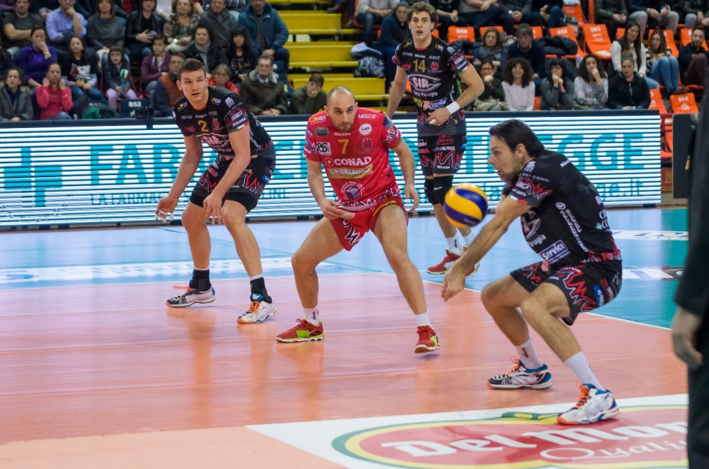 Goran VUJEVIC, ricezione