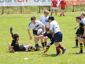 under-12-3