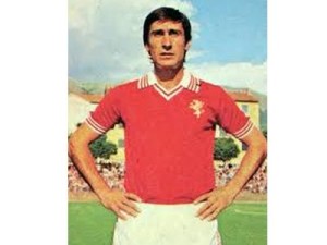 vannini