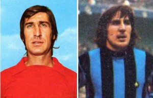 vanninifedele