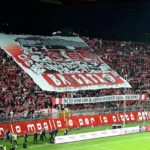 Tifosi